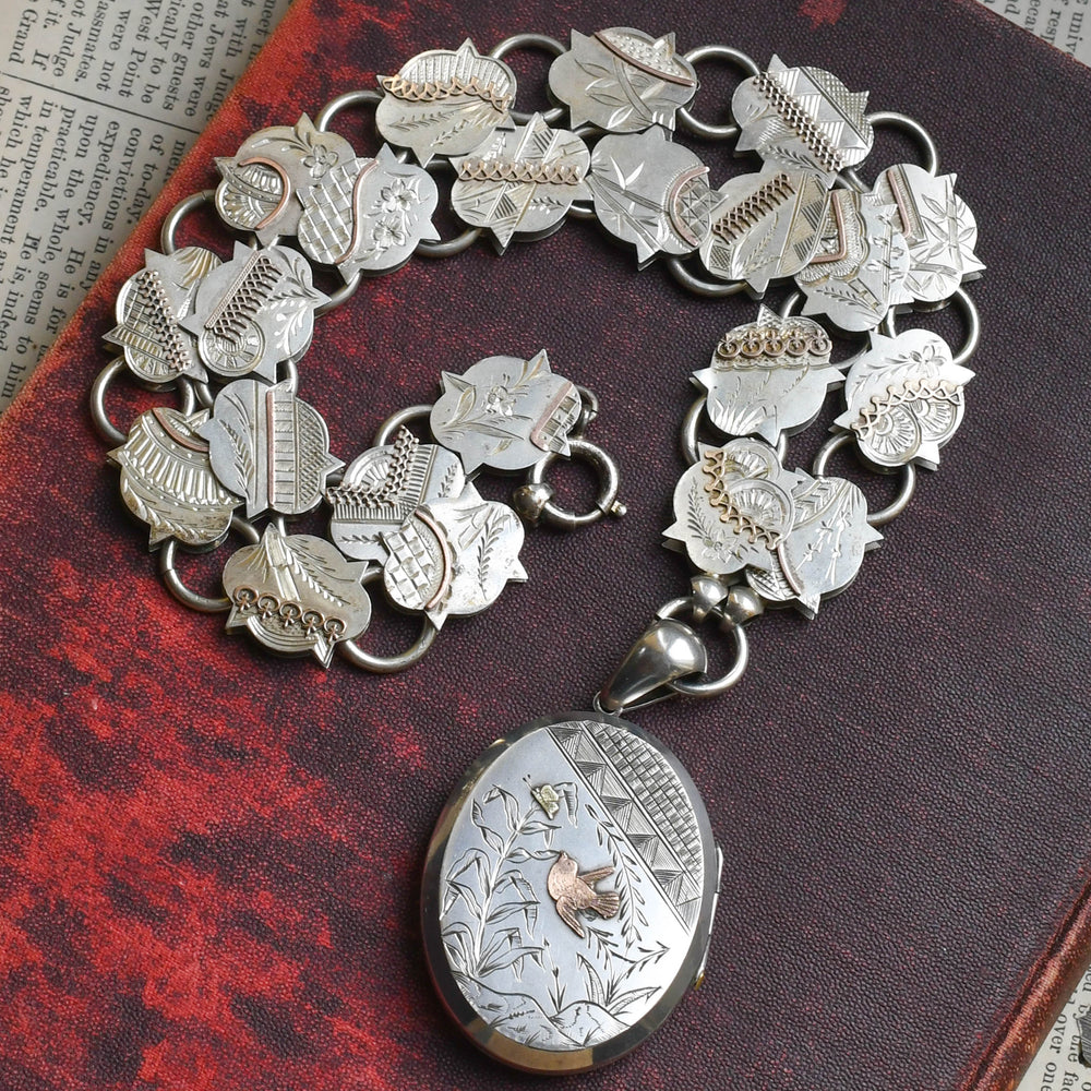 Victorian Aesthetic Silver Locket & Collar