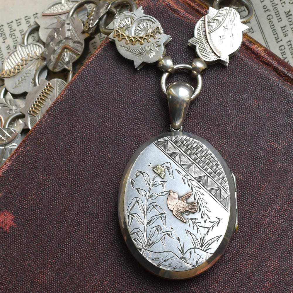 Victorian Aesthetic Silver Locket & Collar