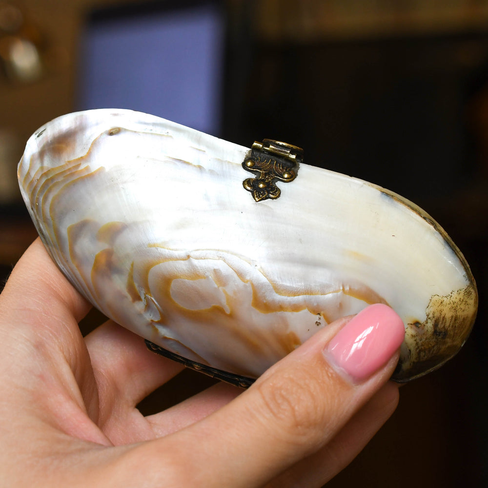 Victorian Oyster Shell Purse