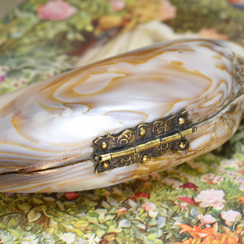 Victorian Oyster Shell Purse