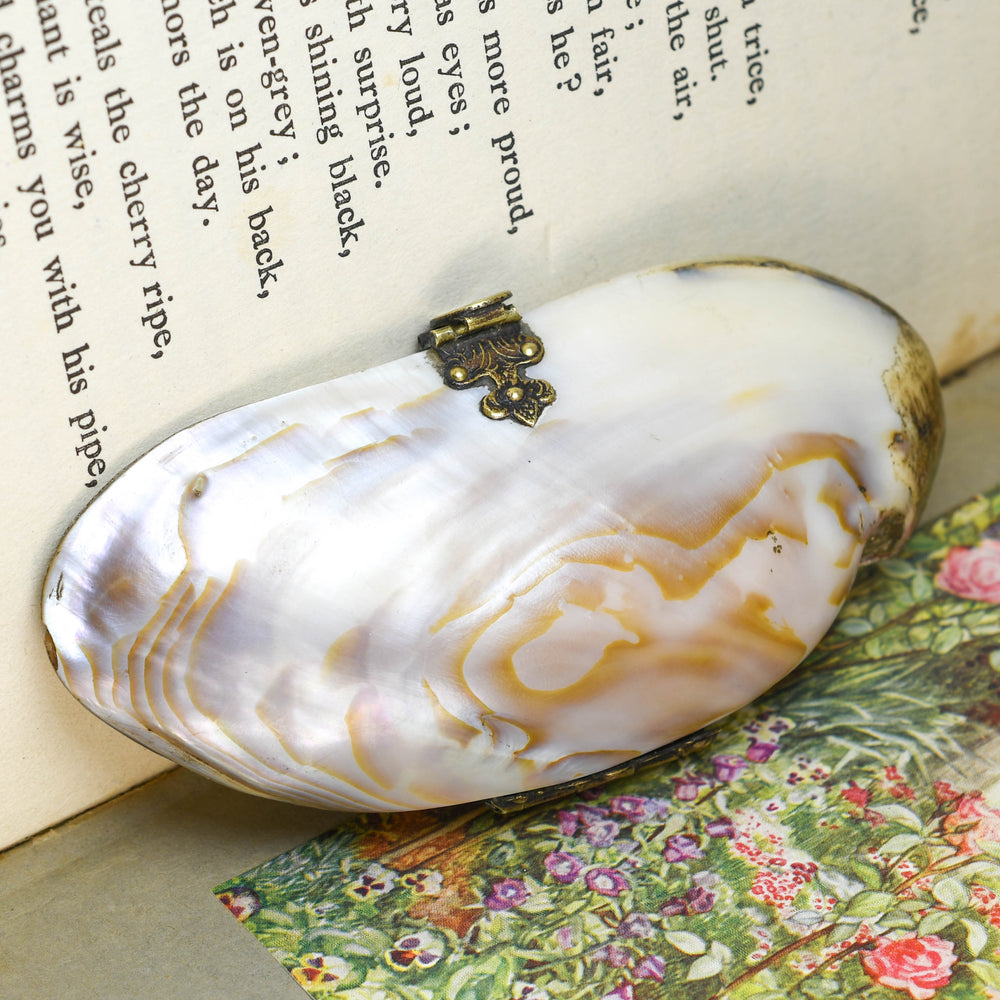 Victorian Oyster Shell Purse