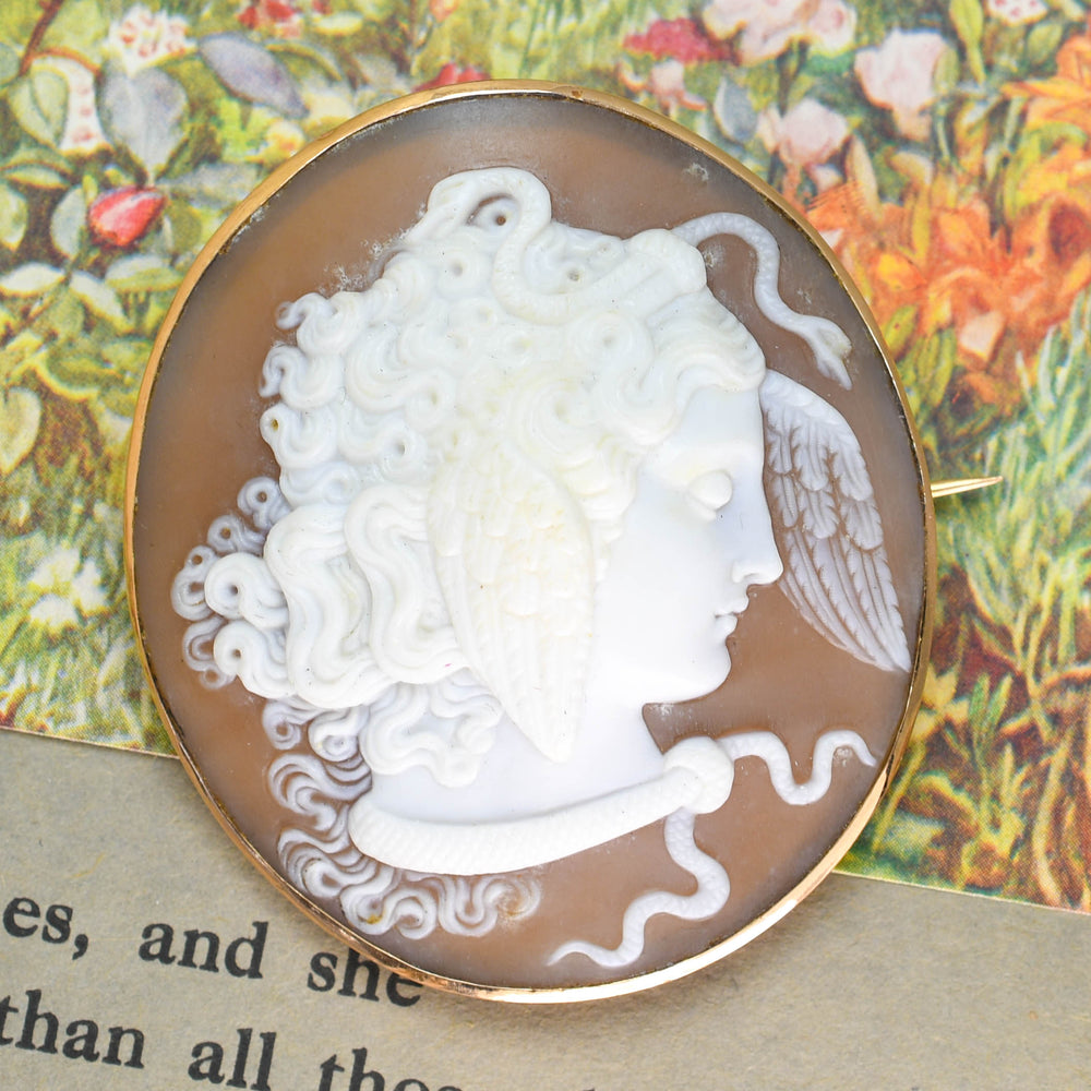 Victorian Medusa Cameo Brooch