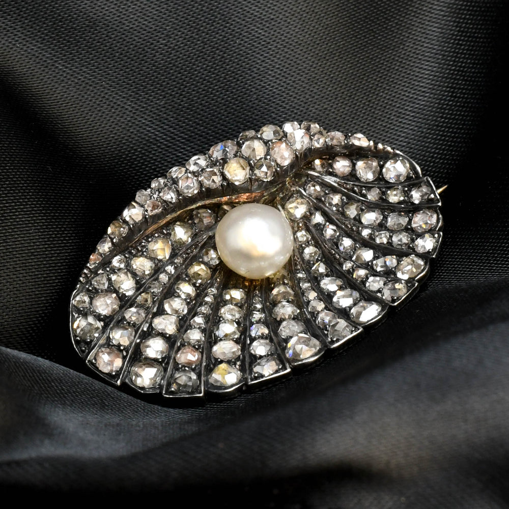 Georgian Natural Pearl & Rose Cut Diamond Oyster Brooch