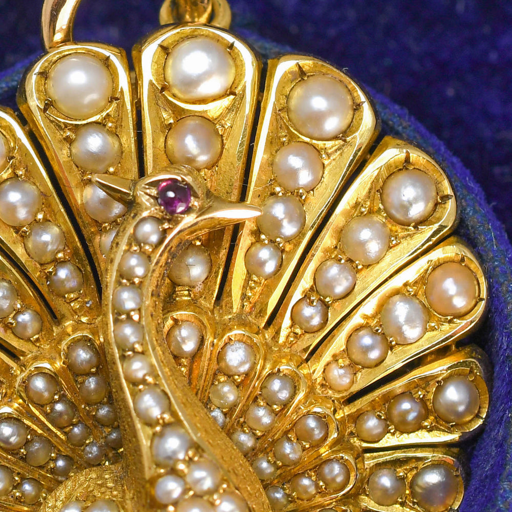 Victorian Pearl & Ruby Peacock Pendant