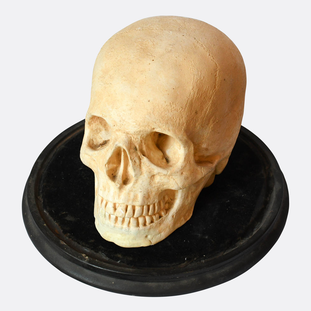 Rare Victorian Gothic Skull in Glass Display