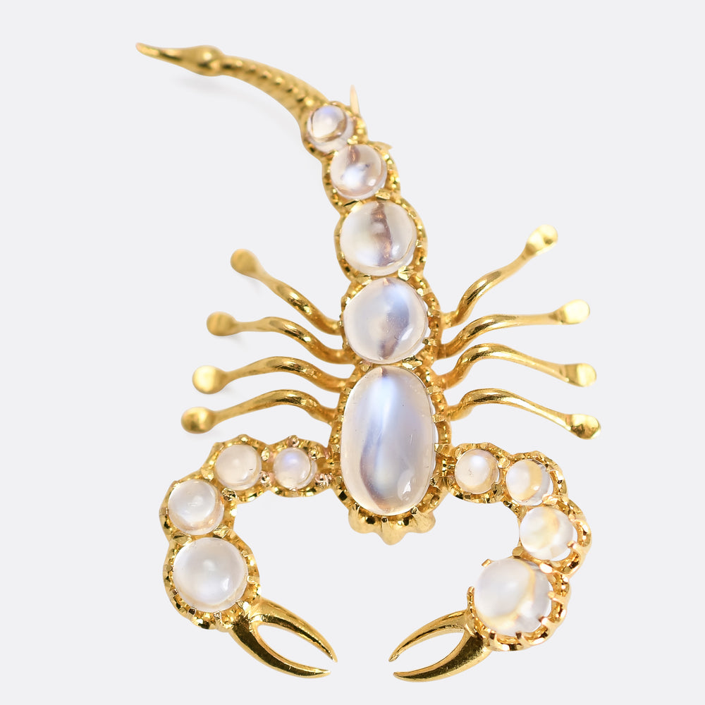 Victorian Moonstone Scorpion Brooch