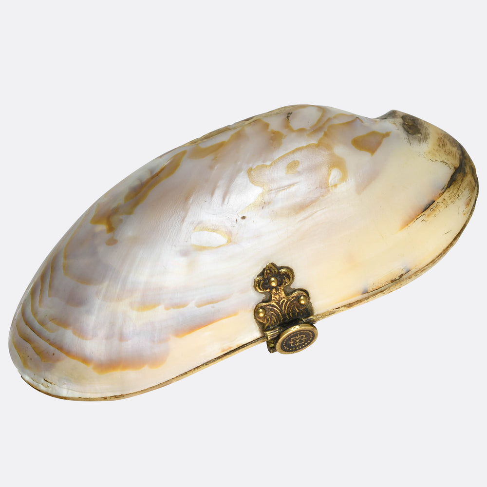 Victorian Oyster Shell Purse