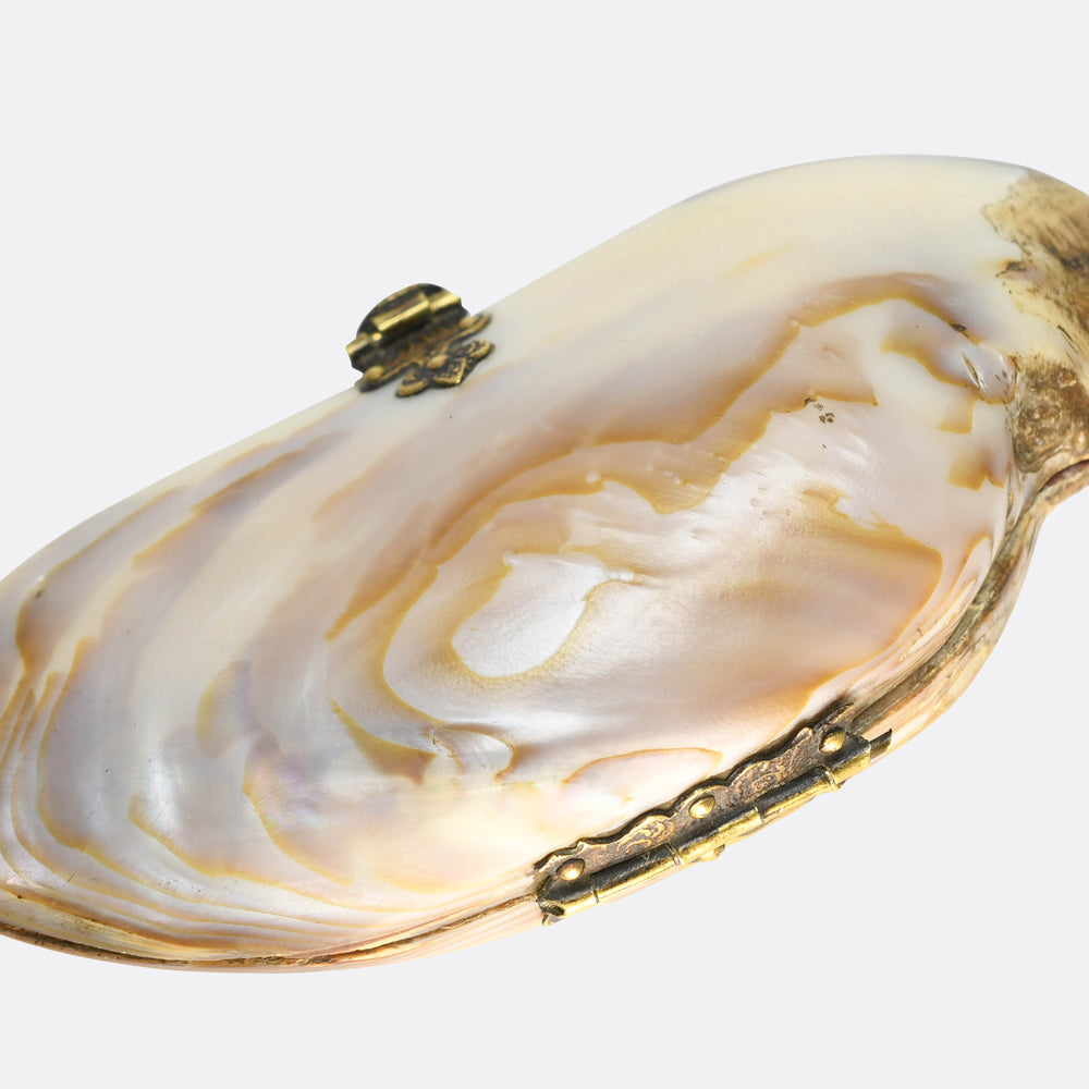 Victorian Oyster Shell Purse